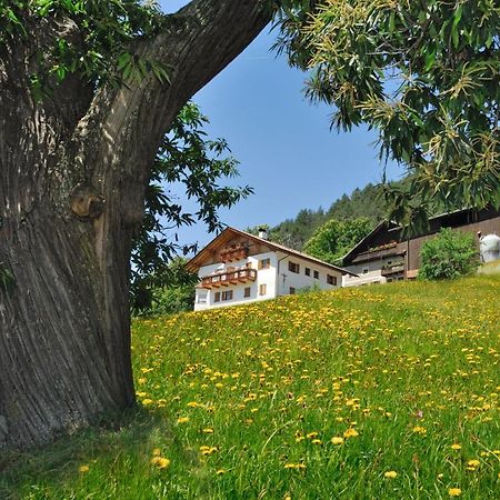 Wohrmannhof Apartment Feldthurns Bagian luar foto