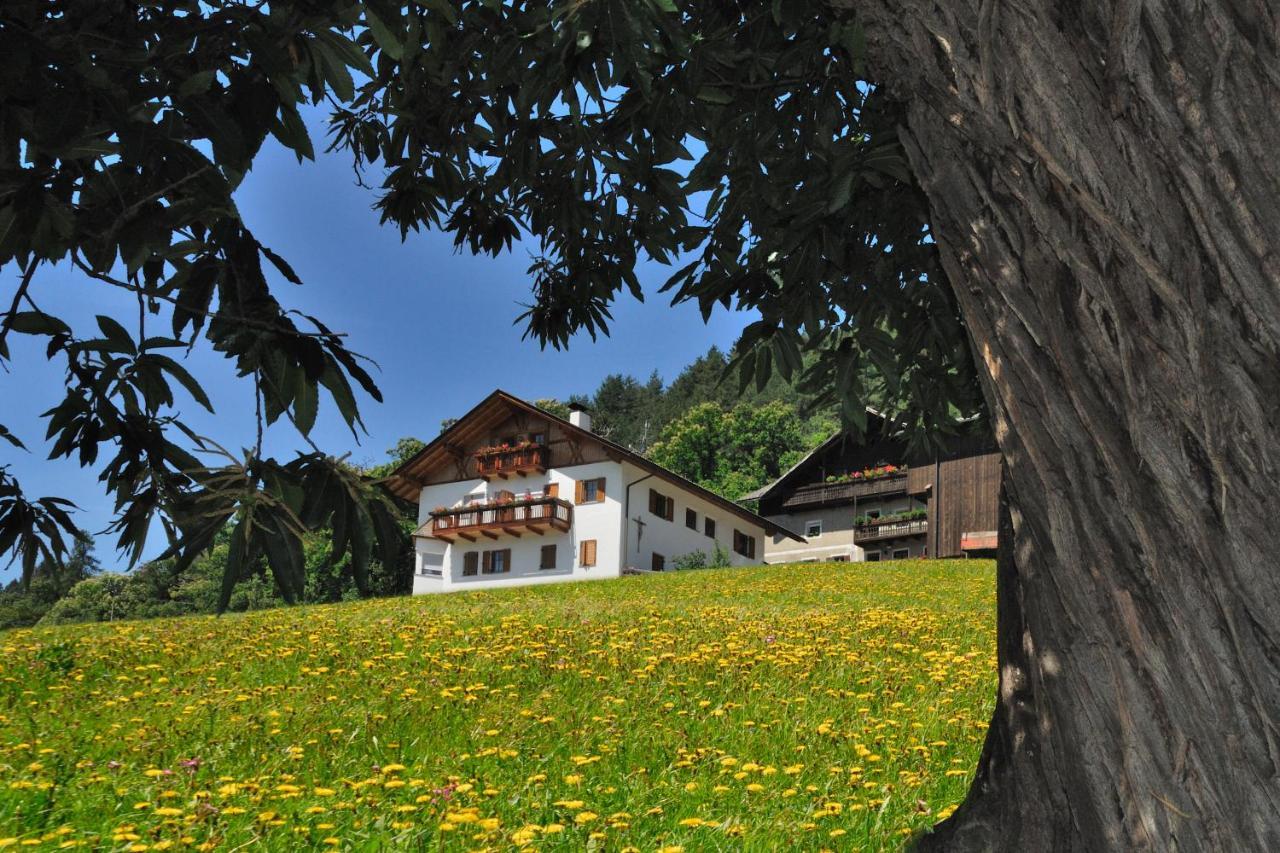 Wohrmannhof Apartment Feldthurns Bagian luar foto