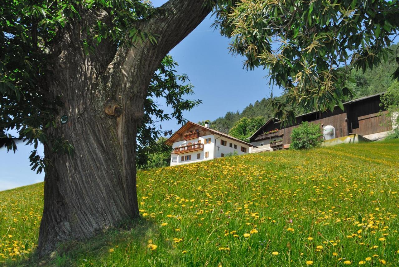 Wohrmannhof Apartment Feldthurns Bagian luar foto